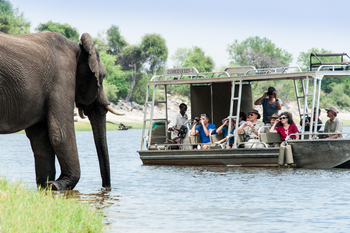 Zambezi Queen Zambezi Queen: Elefant im Fluss mit Boot