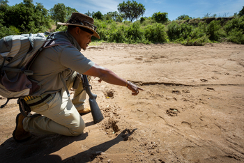 Beho Beho Camp: Spuren
