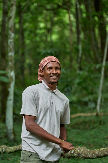 Koroi Forest Camp: Guide