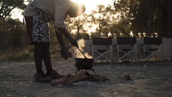 Beagle Expeditions: Koch