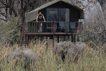 Nkasa Lupala Tented Lodge: Elefanten vor einem Zelt