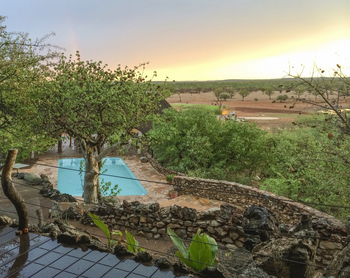 Okutala Lodge: Pool und Blick