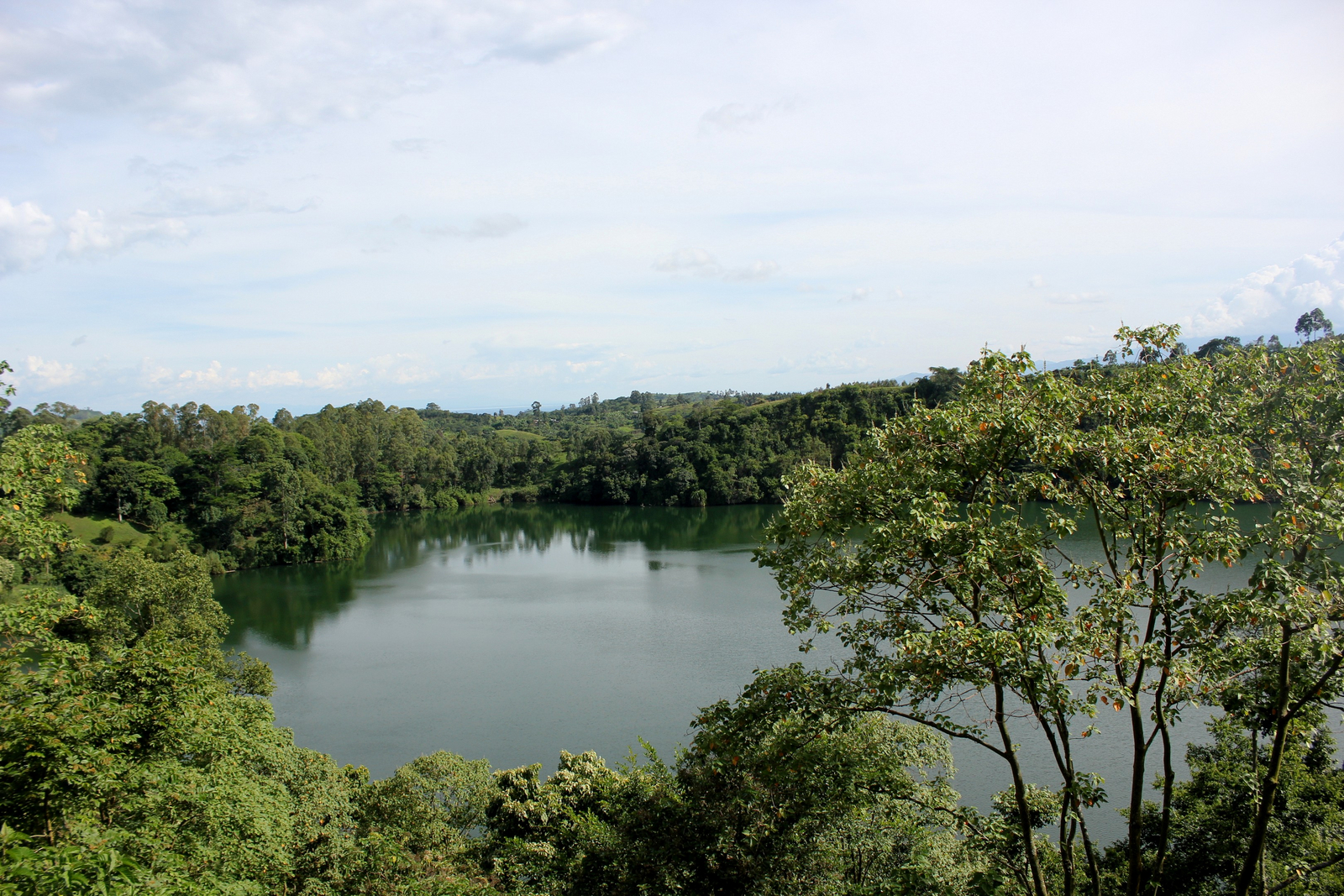Papaya Lake Lodge Papaya Lake Lodge: Bewaldetes Seeufer