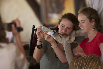 Sarara Camp: Milch für eine junge Kuduantilope
