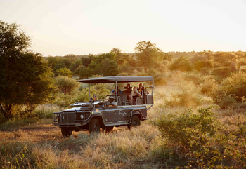 Singita Sweni Lodge: Game Drive
