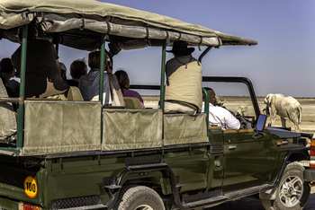 Taleni Etosha Village: Game Drive