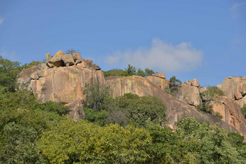 Amalinda Lodge: Felsen über Baumkrisen
