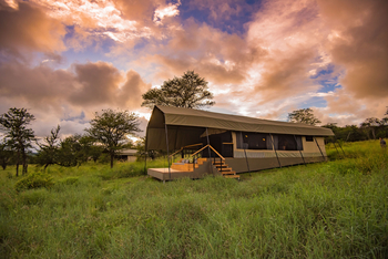 Dunia Camp: Gästezelt