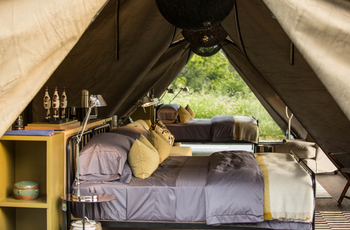 Gomoti Plains Camp: Gästezelte