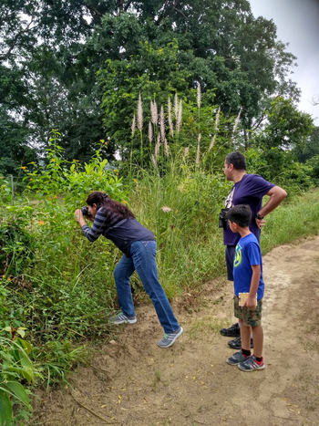 Jim's Jungle Retreat: Butterfly Walk