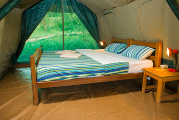 Kibale Forest Camp: Gästezelt ohne privates Bad