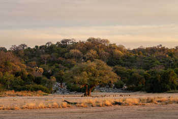 Kokoko Camp: Landschaft