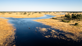 Beagle Expeditions: Mokoro in geflutetem Gelände