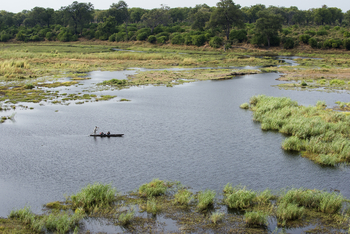 Linyanti Ebony Linyanti Ebony: Luftbild einer Mokorotour