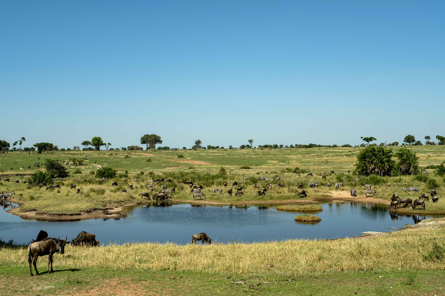 Mara Kati Kati Tented Camp