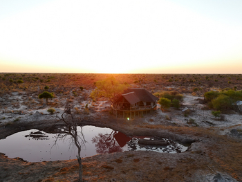 Motswiri Hideaway: Reflektion im Wasserloch