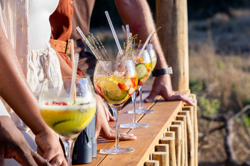 Sabi Sabi Bush Lodge: Cocktails