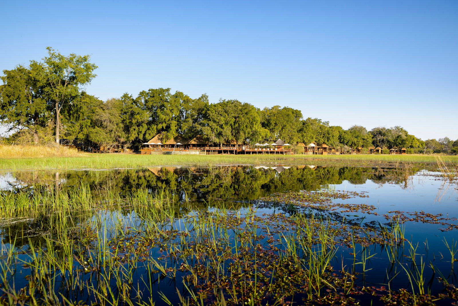 Sanctuary Chief's Camp Sanctuary Chief's Camp: Unter Bäumen