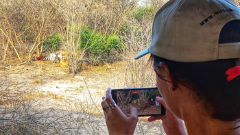 The Dune Camp: Zebra Kill