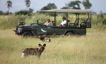andBeyond Sandibe Okavango Safari Lodge: Wildhund