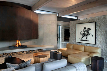 Cheetah Plains: Lounge mit modernem Kamin und Holz-Couchtischen
