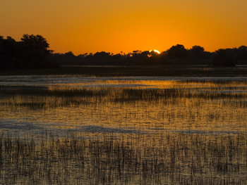 Jacana Camp: Sonnenuntergang