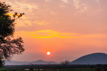Jamala Madikwe: Sonnenuntergang über Savannenlandschaft mit Bäumen