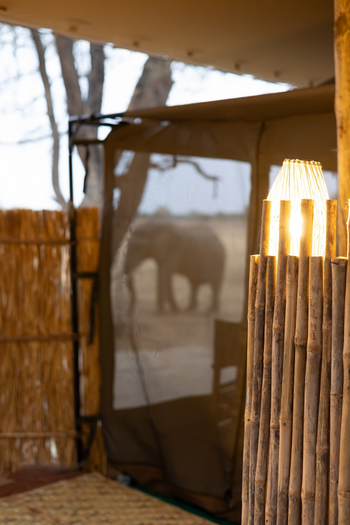 Kutandala Camp: Elefant nahe des Camps