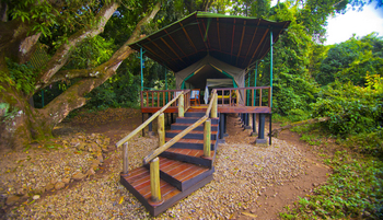 Mbali Mbali Gombe Lodge: Gästezelt