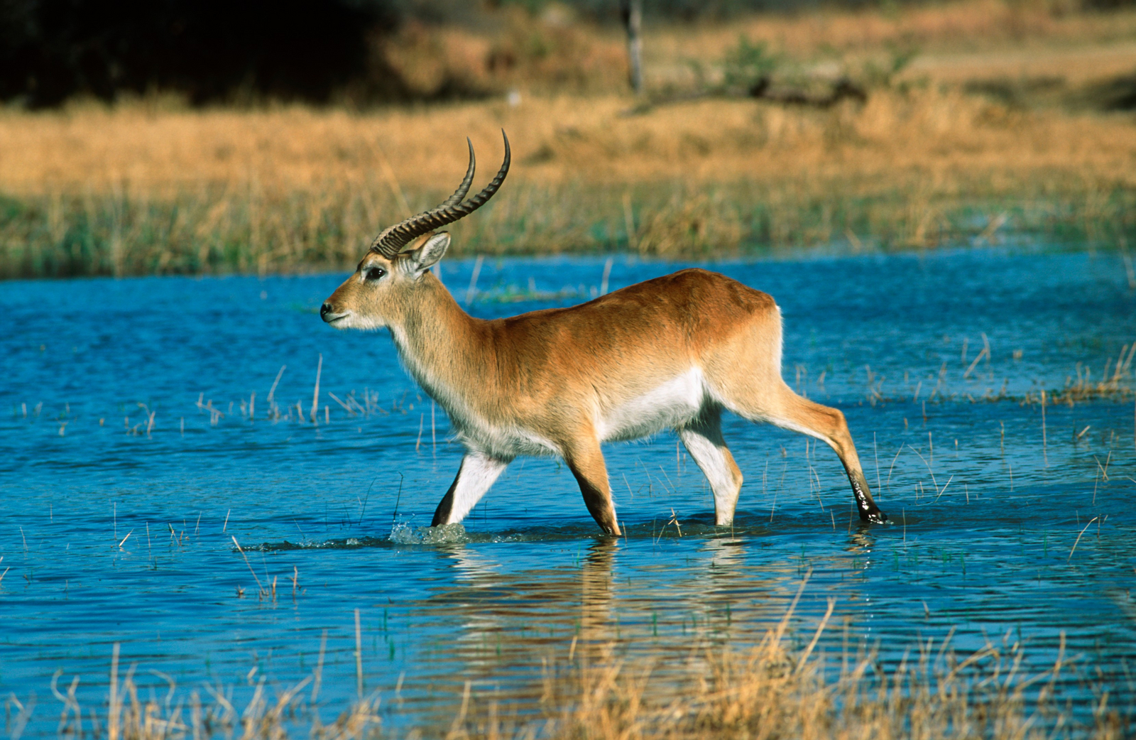 Moremi Game Reserve Moremi Game Reserve