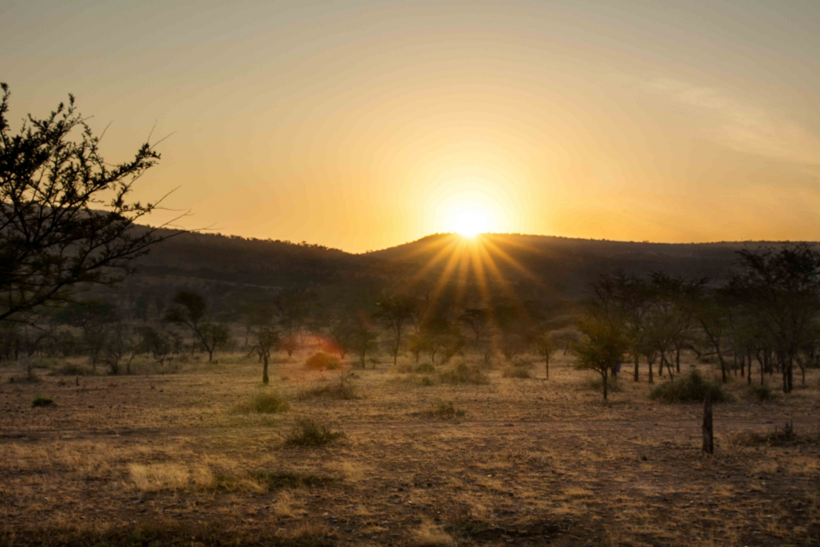 Ole Serai Camp Moru Kopjes Ole Serai Camp Moru Kopjes: Sonnenstrahlen und Landschaft