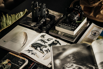 One and Only Nyungwe House: Discovery Table