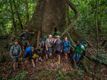 Sette Cama Eco Camp: Forest Walk