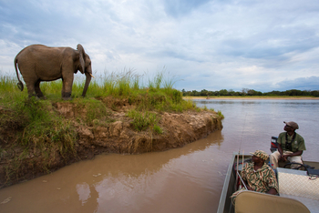 Time + Tide South Luangwa Time + Tide South Luangwa: Bootsafari