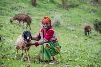 Volcanoes Virunga Lodge: Sheep Project