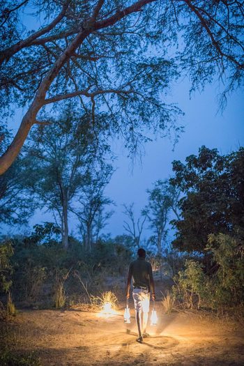 Chula Island Camp Chula Island Camp: Laternenträger