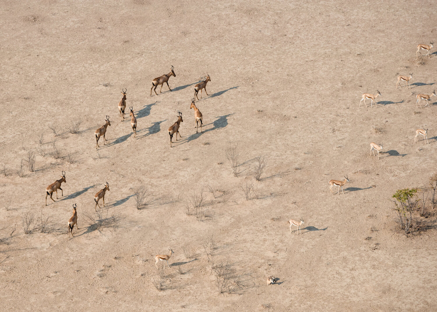 Etosha Heights Game Reserve