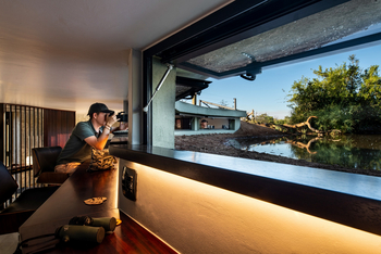 Kings Camp: Observation Hide