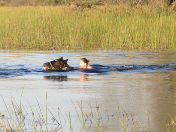 Kujwana Camp: Baden mit dem Pferdegefährten
