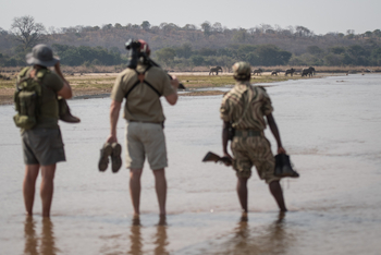 Kutandala Camp: Guide und Gäste auf Safari
