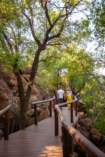 Madikwe Hills Private Game Lodge: Spaziergang auf Holzweg durch Buschlandschaft