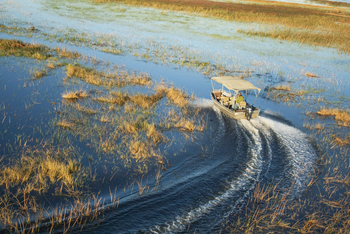 Moanachira Flood Plains: Motorboot-Safari