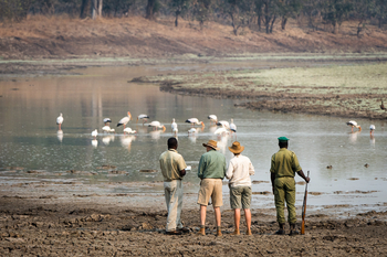 Nsefu Camp: Walking Safari