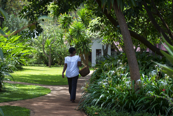 Plantation Lodge: Im Garten