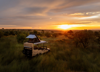 Roving Bushtops Camp: The Beest