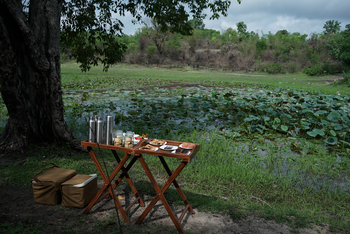 Tathastu Resort Bandhavgarh: Coffee Stop