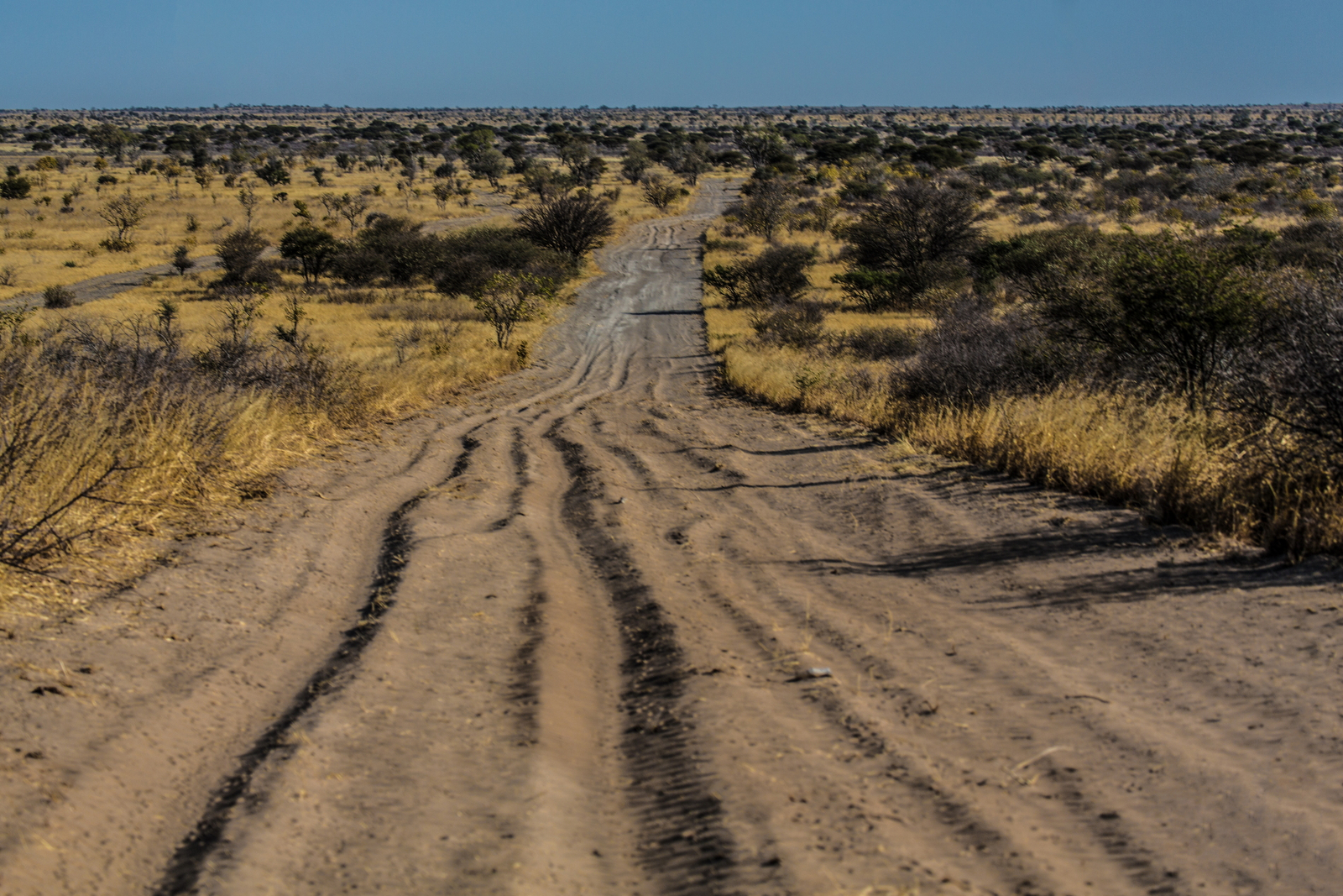 Tau Pan Camp Tau Pan Camp: Piste