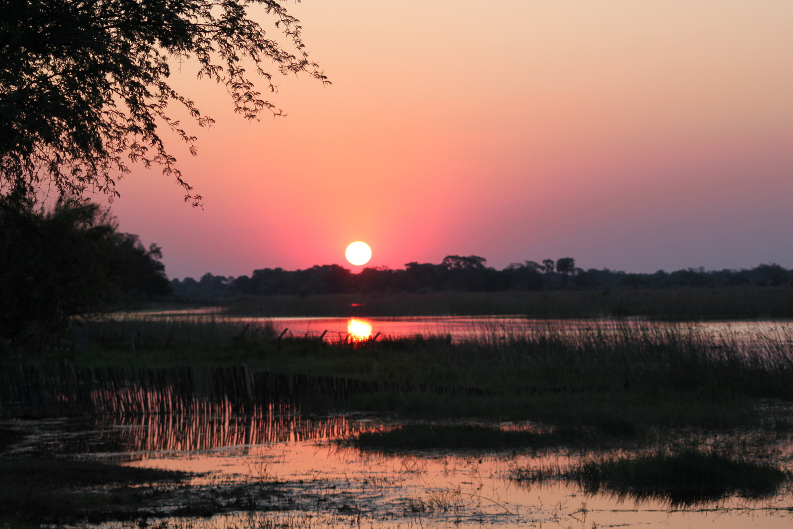 Thamalakane River Lodge Thamalakane River Lodge
