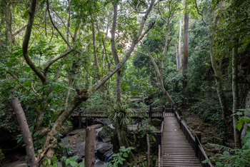 Volcanoes Kyambura Gorge Lodge: Steg in der Schlucht
