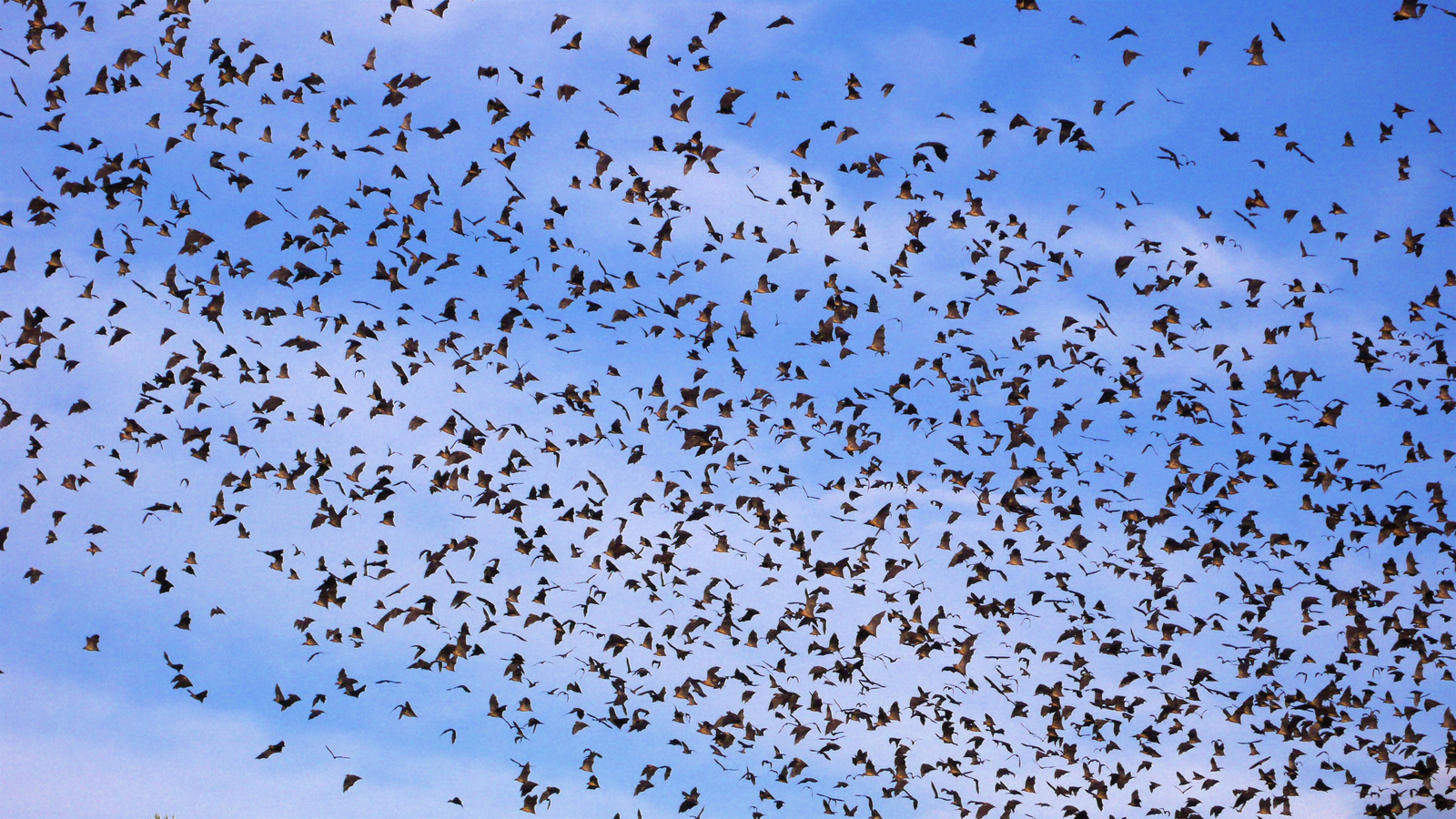 Wasa Lodge Wasa Lodge